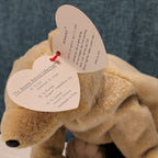 TY Beanie Baby ALMOND Beige Bear 1999 | MWMT Mint Tags | Retired Rare 7" Toy
