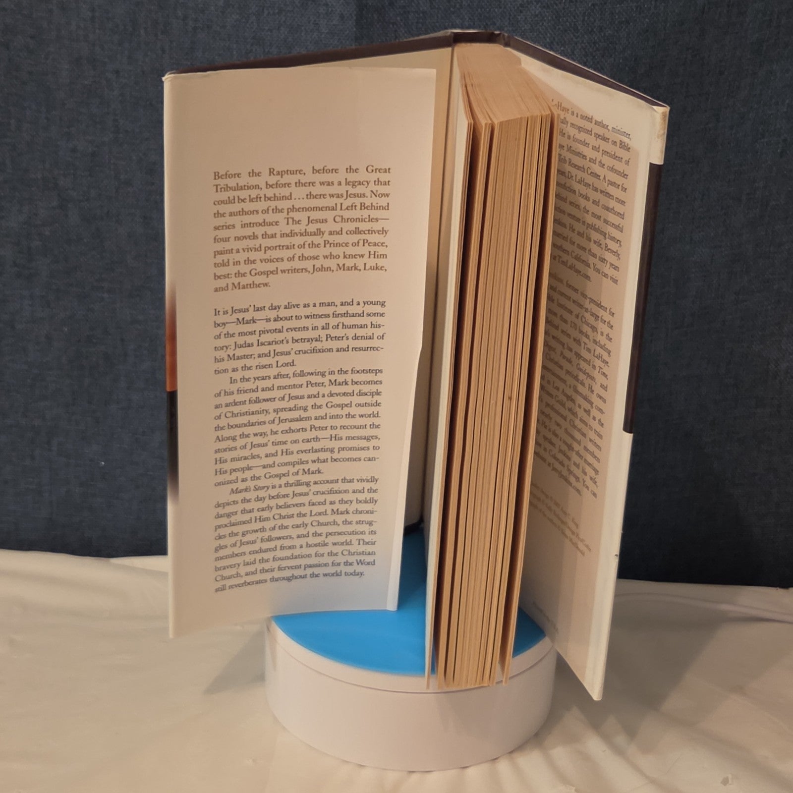 Tim LaHaye Jerry Jenkins Mark's Story Hardcover Book Club Edition