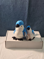 Ty Beanie Baby Rocket the Blue Jay Set Standard & Teenie Beanie 1998 NWT Bird