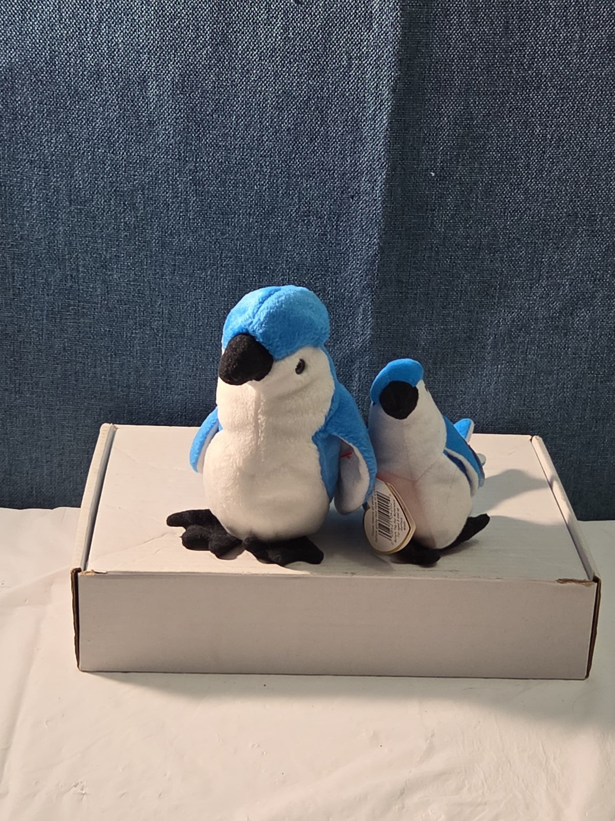 Ty Beanie Baby Rocket the Blue Jay Set Standard & Teenie Beanie 1998 NWT Bird