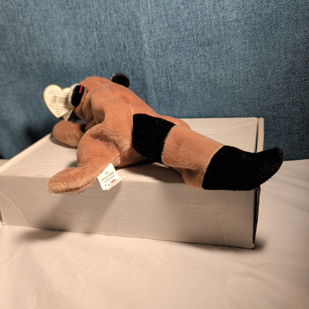 Ty Beanie Baby Ringo - MWMT (Raccoon 1995)