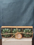 Set of 3 Green Pumpkin Candles | Vanilla Scented Molded Wax | Fall Farmhouse