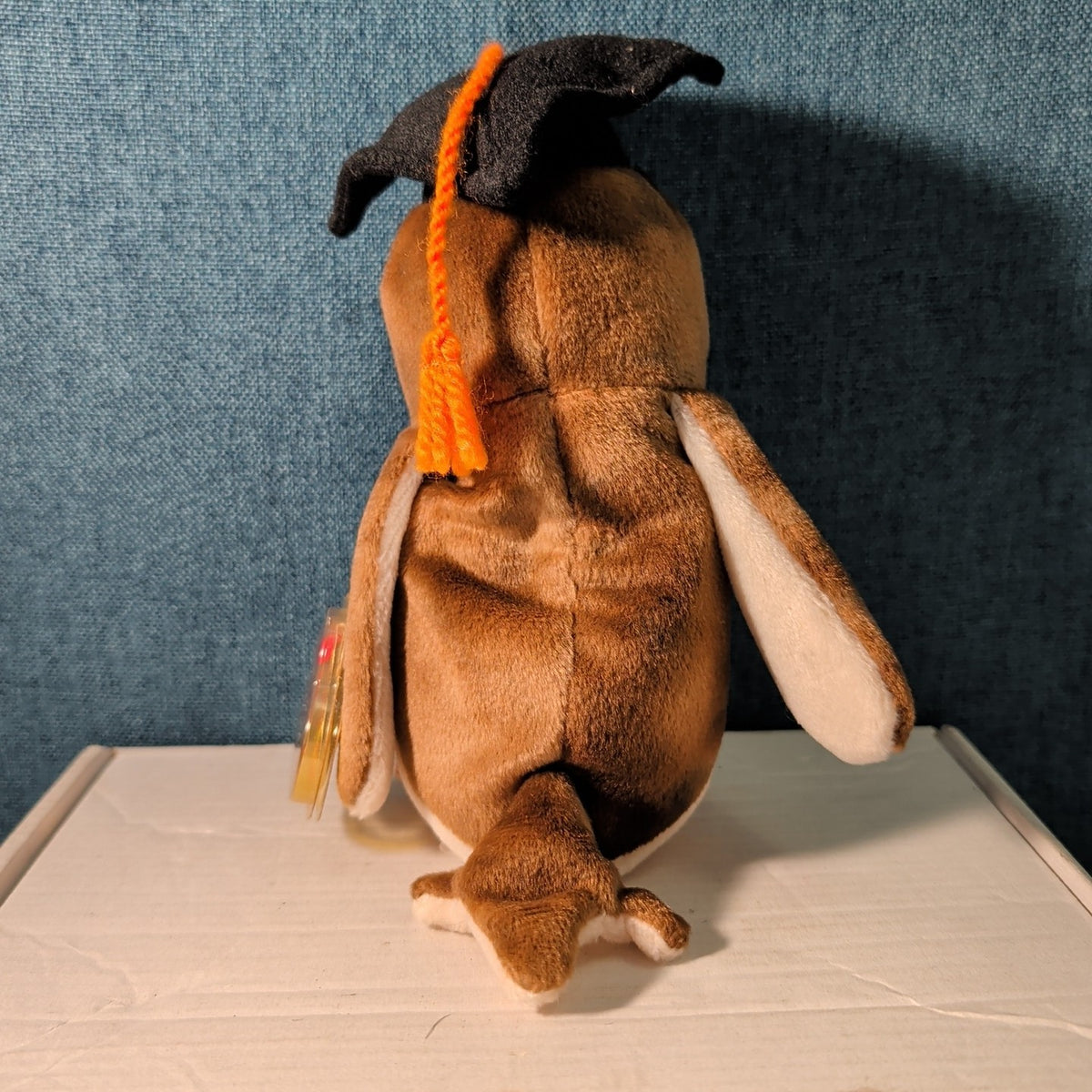 Wise TY Beanie Baby Owl Class of 1998 Graduation Gift MWMT with Tag Protector