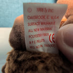 Beak Ty Beanie Baby 1998 Retired Kiwi Bird with Tag Protector Vintage Retired