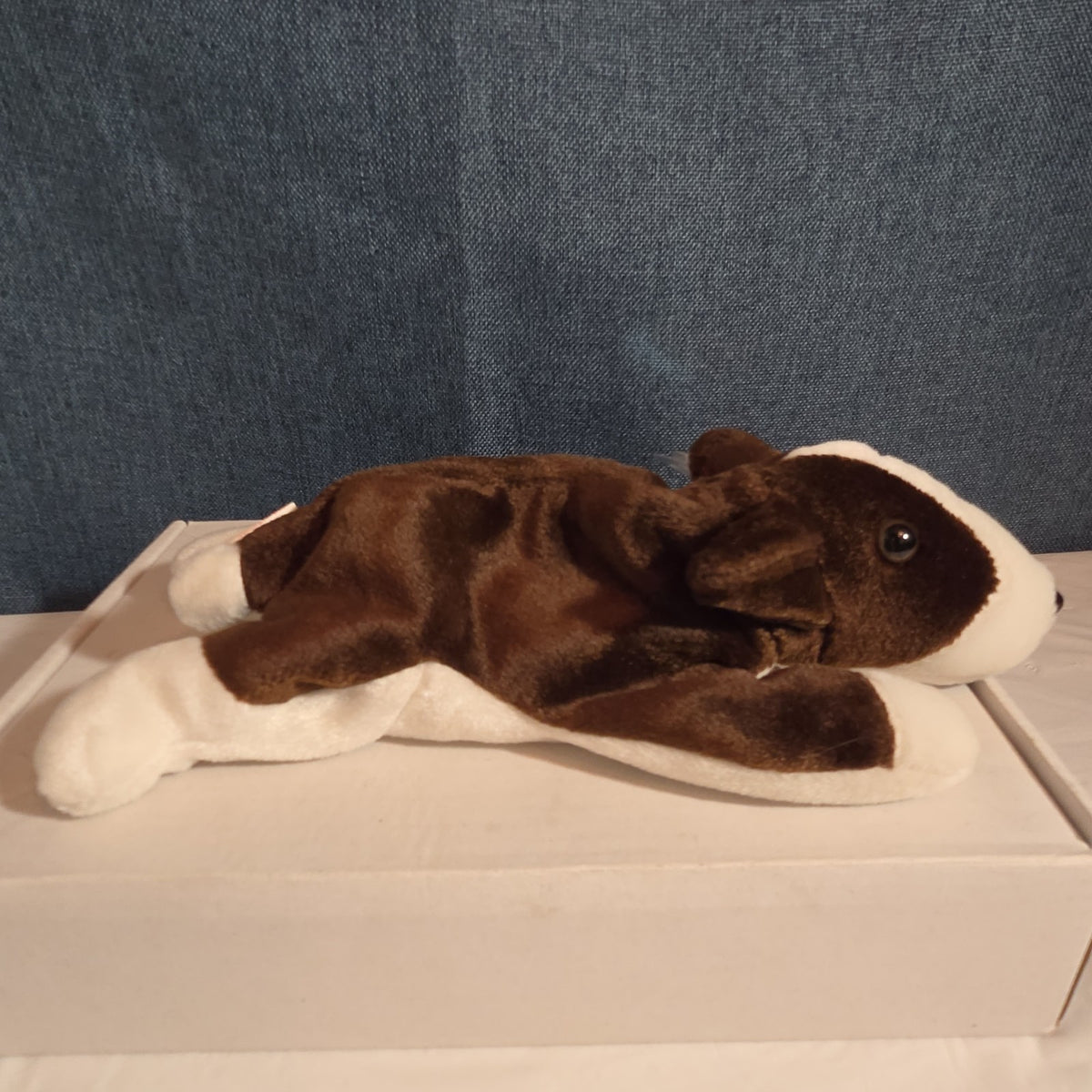 Ty Beanie Baby Bruno Dog Plush Vintage 1997 Bull Terrier Tags Protected