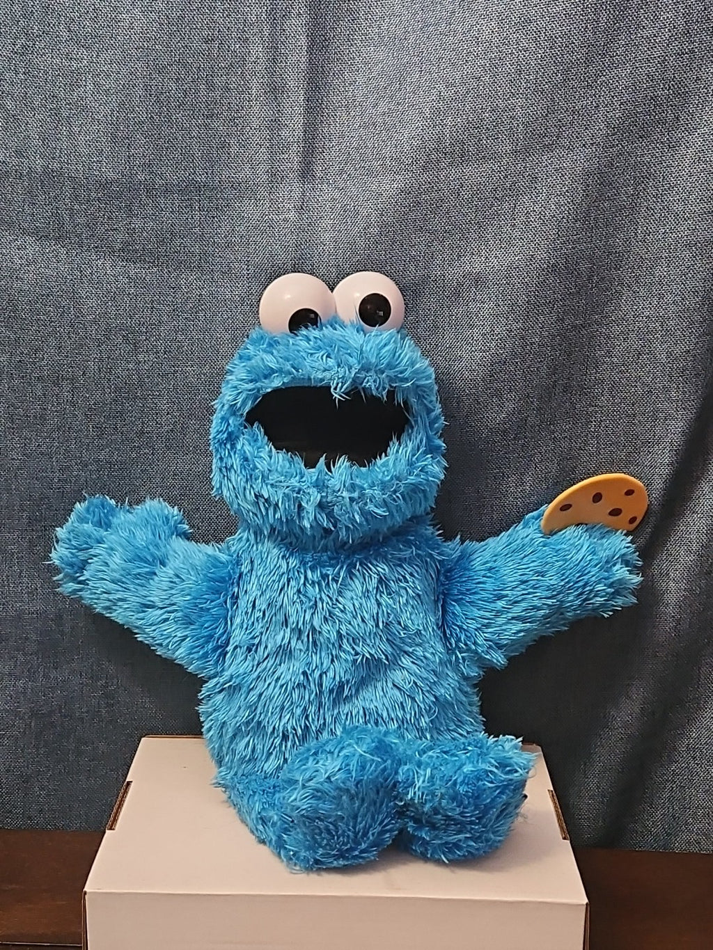 Sesame Street Cookie Monster Plush | 10” Hasbro Talking Figure with Cookie