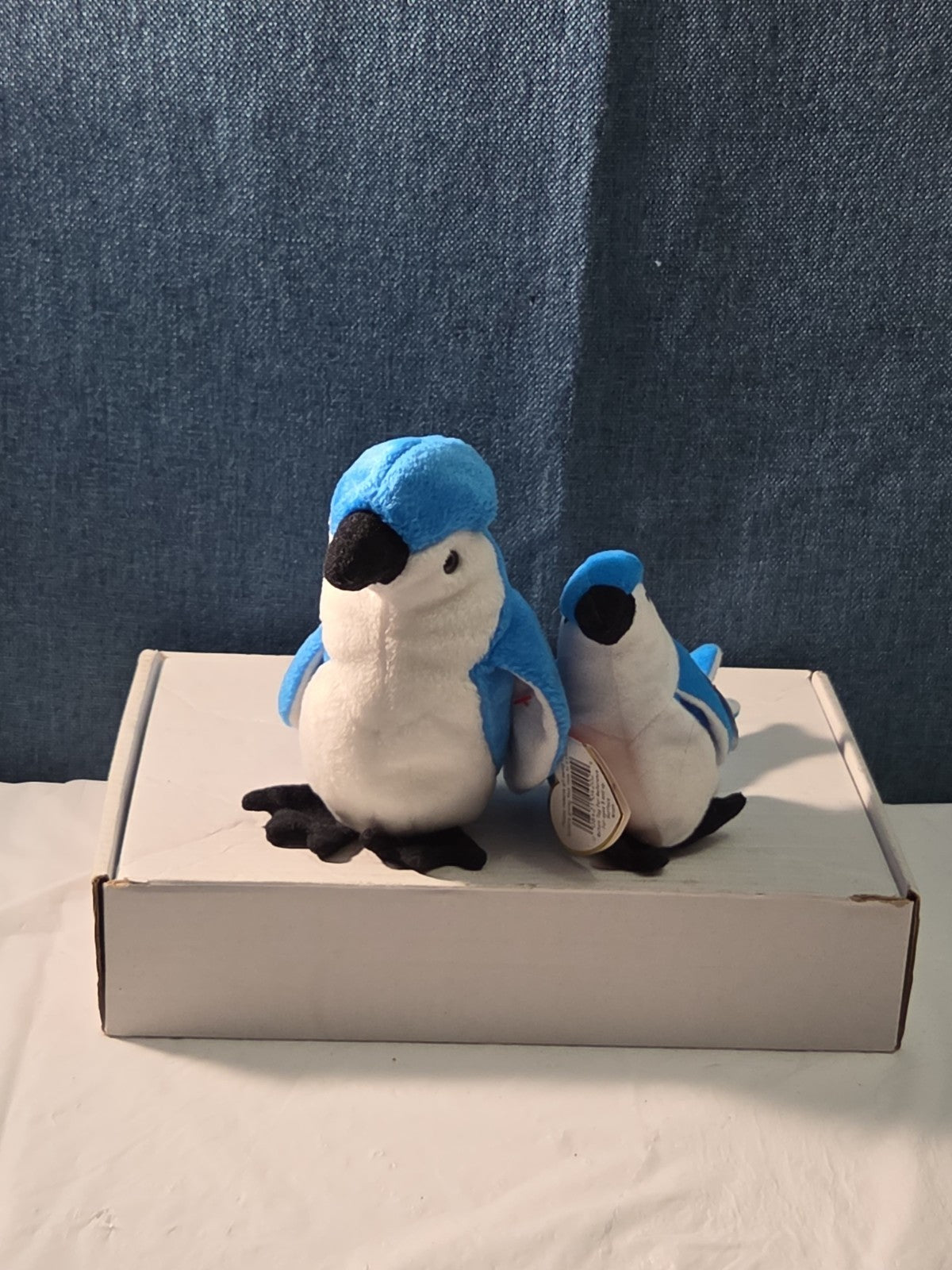 Ty Beanie Baby Rocket the Blue Jay Set Standard & Teenie Beanie 1998 NWT Bird