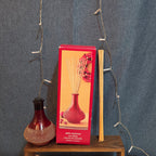 Pier 1 Imports Apple Cinnamon Reed Diffuser Red Glass