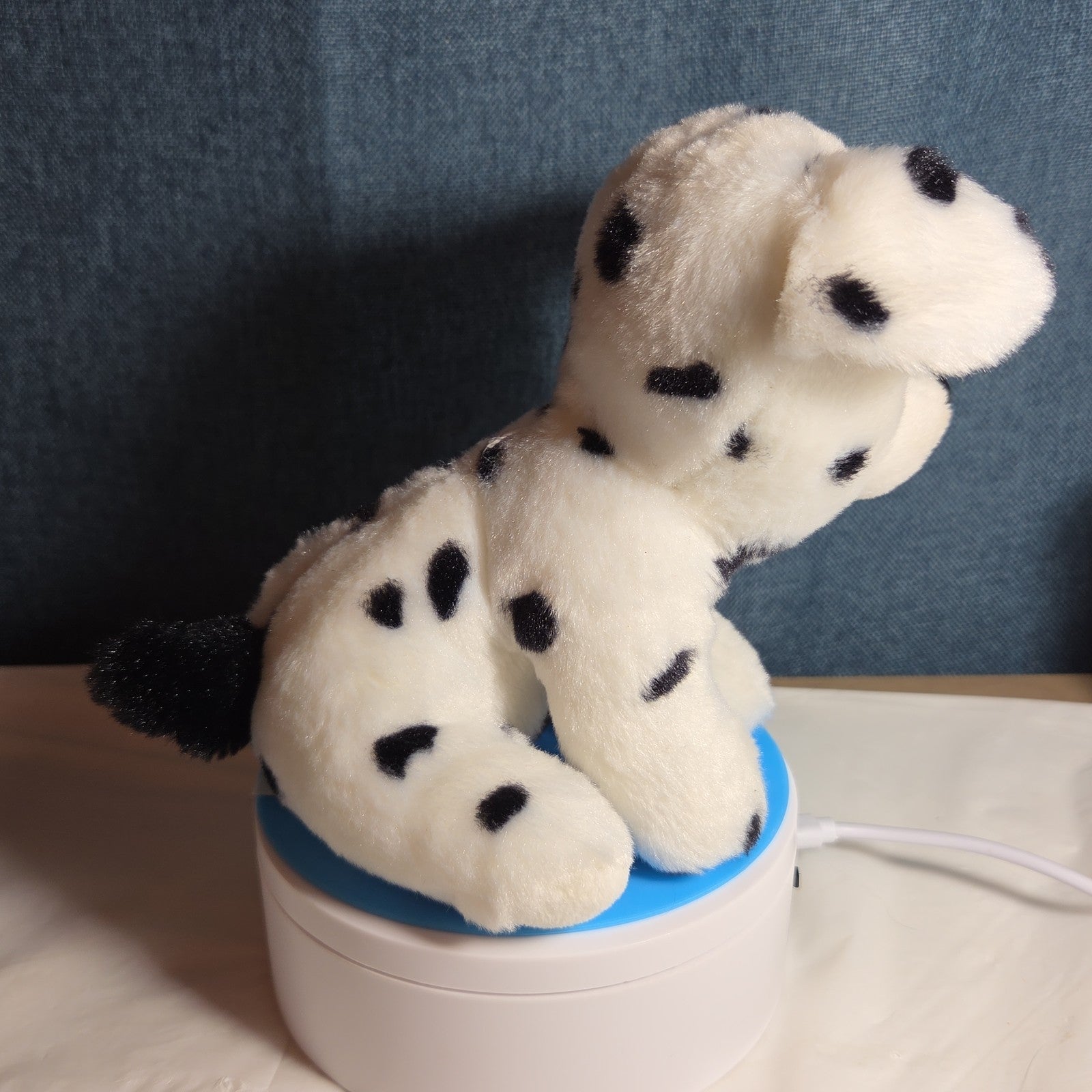 TY Beanie Boos - FETCH the Dalmatian (Solid Eye Color) (6 inch) 2011